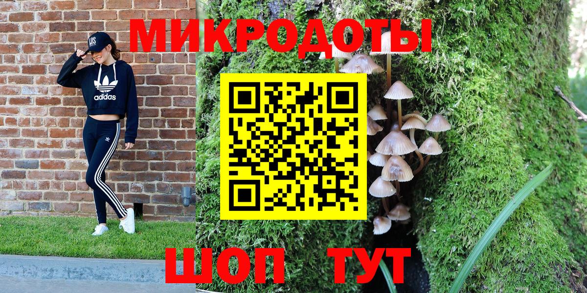 Псилоцибиновые грибы Magic Shrooms  Вход с VPN  Елабуга  Псилоцибиновые грибы Psilocybe 