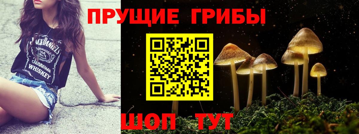 Галлюциногенные грибы MAGIC MUSHROOMS Елабуга